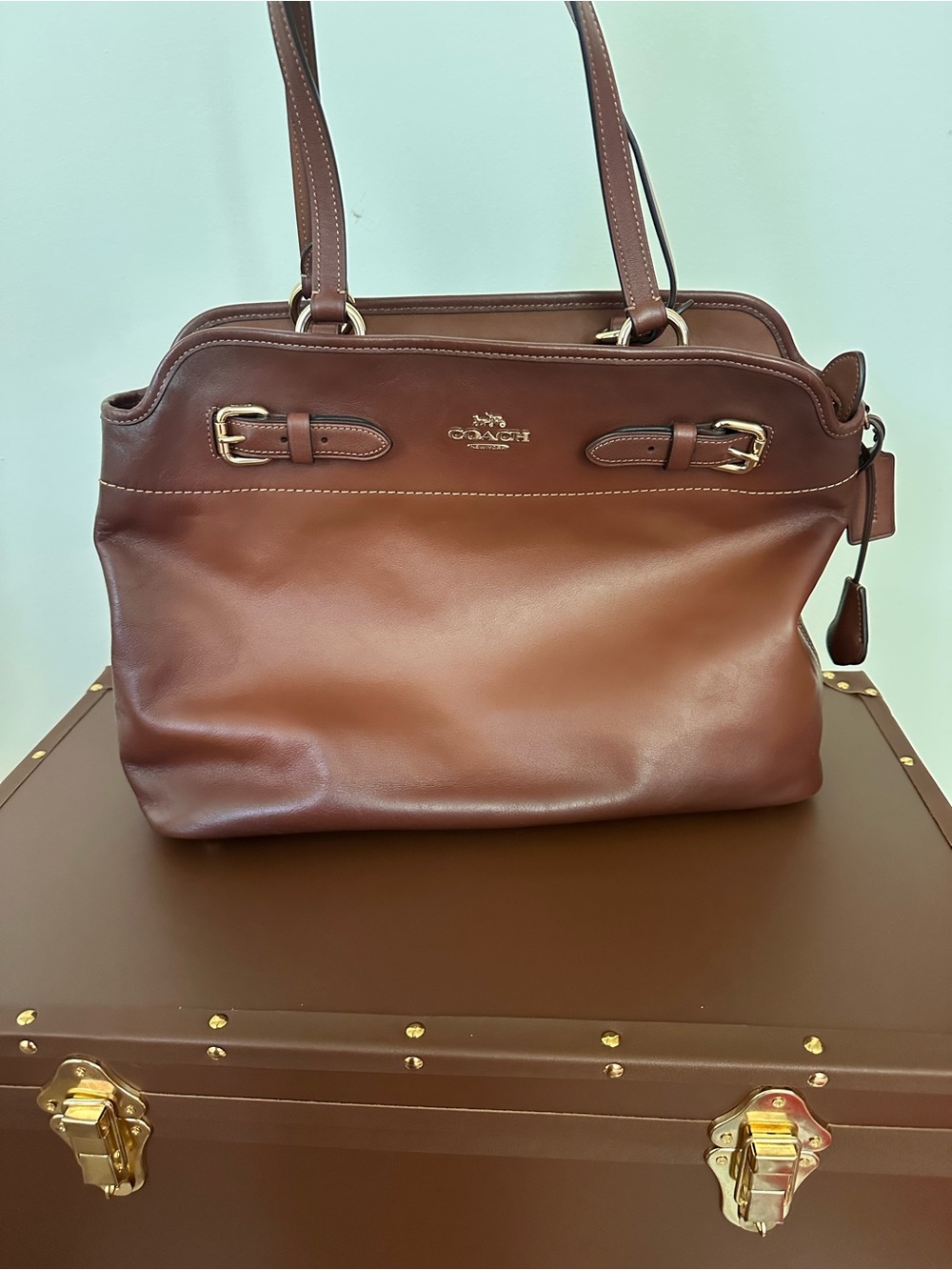 Coach Brown Leather Shoulder Bag with Gold Hardware